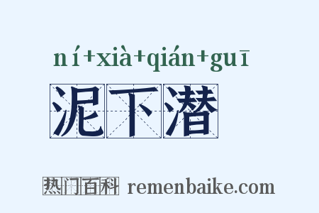 泥下潜珪是什么意思的图片